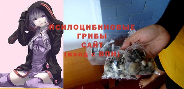 apvp Алексин
