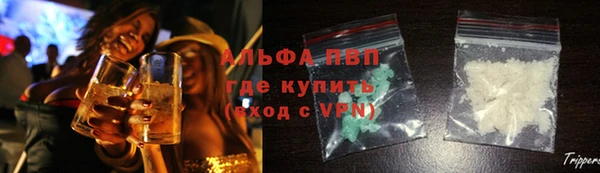 apvp Алексин