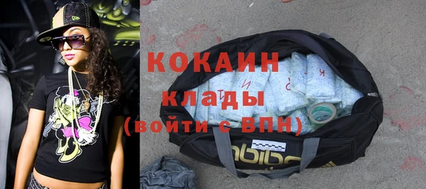 крисы Осташков