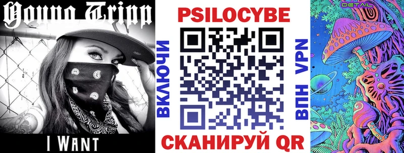 Псилоцибиновые грибы Psilocybe  Кремёнки 