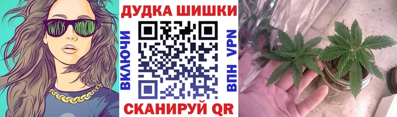 Бошки Шишки THC 21%  закладка  Кремёнки 